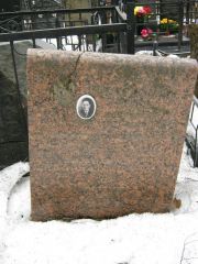 Кроль Михаил Исаакович, Москва, Востряковское кладбище