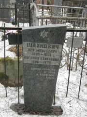 Шахнович Евгения Ехиелевна, Москва, Востряковское кладбище