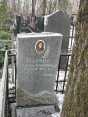 Шапиро Рашель Пинхосовна, Москва, Востряковское кладбище