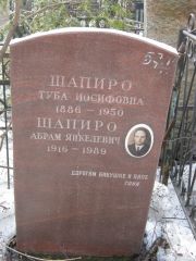 Шапиро Туба Иосифовна, Москва, Востряковское кладбище