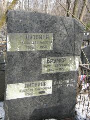 Литвина С. Б., Москва, Востряковское кладбище