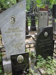 Шпанер Фрида Исааковна, Москва, Востряковское кладбище