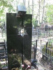 Добромильский Илья Леонидович, Москва, Востряковское кладбище