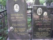 Штульбаум Фаня Мееровна, Москва, Востряковское кладбище