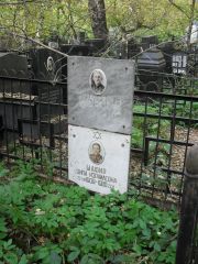 Шафир Ципа Израилевна, Москва, Востряковское кладбище