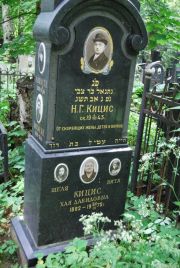 Кицис Н. Г., Москва, Востряковское кладбище