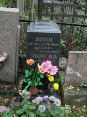 Явиц Айзик Беркович, Москва, Востряковское кладбище