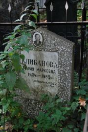 Кацман Н. М., Москва, Востряковское кладбище