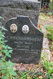 Синельников Виктор Ильич, Москва, Востряковское кладбище