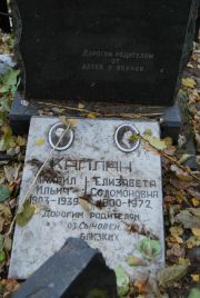Каплан Михаил Ильич, Москва, Востряковское кладбище