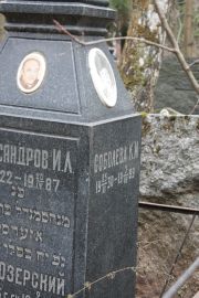Александров И. Л., Москва, Востряковское кладбище
