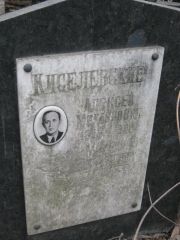 Киселевский Моисей Михайлович, Москва, Востряковское кладбище