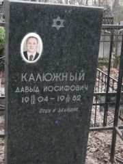 Калюжный Давыд Иосифович, Москва, Востряковское кладбище