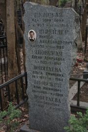 Яновский Илья Иосифович, Москва, Востряковское кладбище