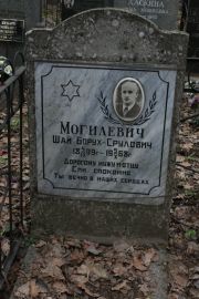 Могилевич Шай Борух-Срулович, Москва, Востряковское кладбище