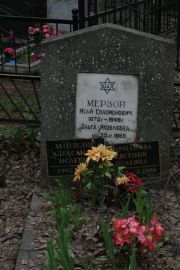 Мерзон Исай Соломонович, Москва, Востряковское кладбище