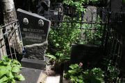 Силин Абрам Генриховна, Москва, Востряковское кладбище