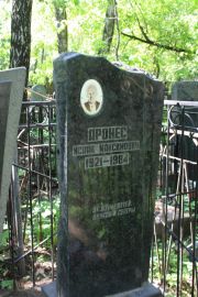 Аронес Исаак Максимович, Москва, Востряковское кладбище
