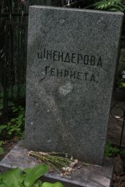 Шнейдерова Генриета , Москва, Востряковское кладбище