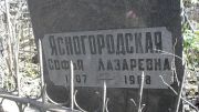 Ясногородская Софья Лазаревна, Москва, Востряковское кладбище