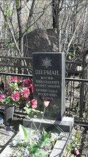 Шерман Иосиф Николаевич, Москва, Востряковское кладбище
