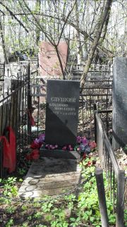 Слуцкий Владимир Моисеевич, Москва, Востряковское кладбище