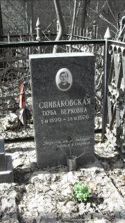 Спиваковская Тауба Берковна, Москва, Востряковское кладбище