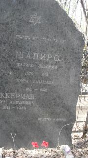 Шапиро Минна Лазаревна, Москва, Востряковское кладбище