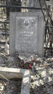 Шейнкер Янкель Иосифович, Москва, Востряковское кладбище