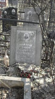 Шейнкер Янкель Иосифович, Москва, Востряковское кладбище