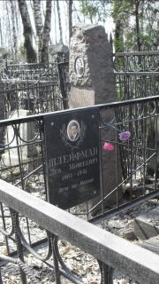 Шлейфман Лев Моисеевич, Москва, Востряковское кладбище