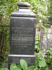 Ясногородский Израиль Иосифович, Москва, Востряковское кладбище