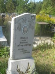 Шагас Марк Зямович, Пермь, Северное кладбище