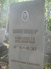 Шнейдер Елизавета Ильинична, Пермь, Северное кладбище