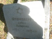 Штенберг Лейка Хаймовна, Пермь, Северное кладбище