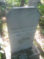 Корженевич Блюма Моисеевна, Пермь, Южное кладбище