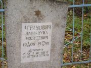 Агранович Эммануил Моисеевич, Почеп, Еврейское кладбище