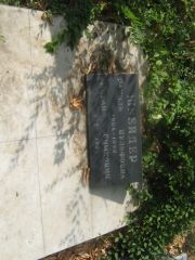 Шнейдер Рахиль Вульфович, Самара, Центральное еврейское кладбище