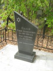 Палуй Товий Зельманович, Самара, Центральное еврейское кладбище