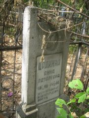Цалкина Анна Лазаревна, Самара, Безымянское кладбище (Металлург)