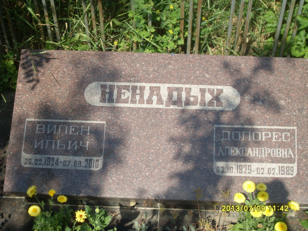 Ненадых Вилен Ильич, Саратов, Еврейское кладбище