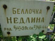Недлина Беллочка , Саратов, Еврейское кладбище