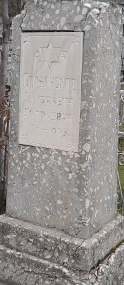 Скибинская Елизавета Яковлевна, Ташкент, Европейско-еврейское кладбище