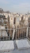Ройтман Сарра Файвелевна, Ташкент, Европейско-еврейское кладбище