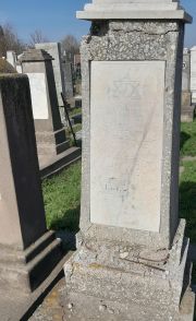 Дохнер Шейва Ицковна, Ташкент, Европейско-еврейское кладбище