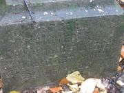 Давыдова Рахиль Шепшелевна, Тобольск, Еврейское кладбище