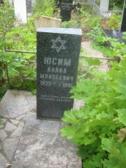 Юсим Давид Мосиеевич, Уфа, Южное кладбище