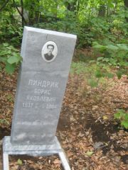 Пиндрик Борис Яковлевич, Уфа, Южное кладбище