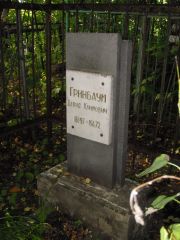 Гринбаум Давид Хаимович, Ульяновск, Старое еврейское кладбище