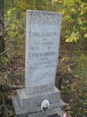 Синельникова Сарра Абрамовна, Ульяновск, Северное (Ишеевское) кладбище